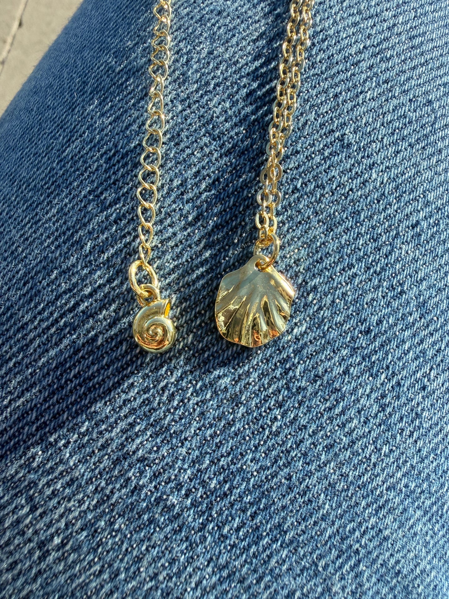 Sea Shell