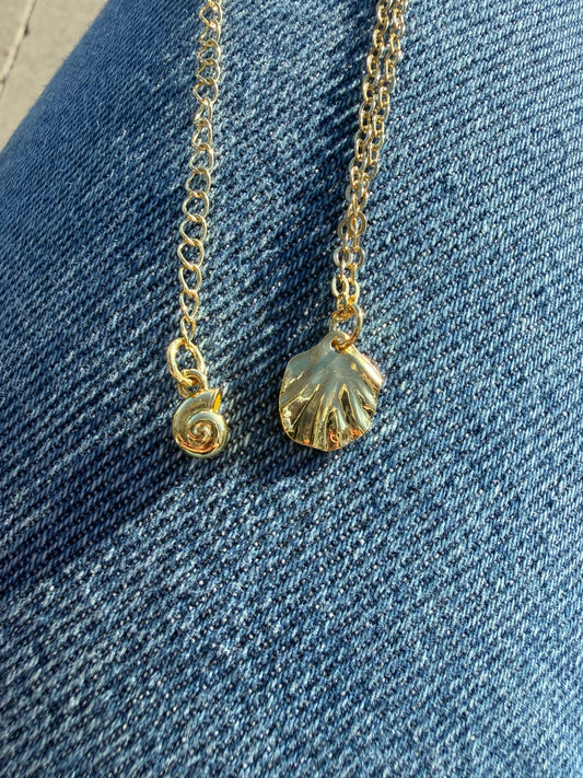 Sea Shell